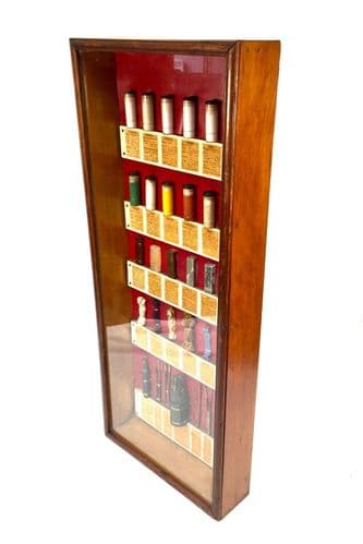 Antique Scientific Teaching Aid Display Cabinet / Glazed / School or Lab Used