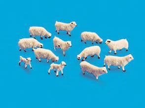 5110 Sheep & lambs