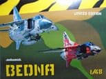 EDK11120 1/48 Mikoyan MiG-23 Flogger MF/ML 'Bedna' Limited Edition