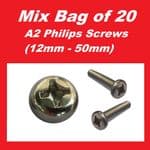 A2 Philips Screws (M6 mixed bag  of 20) - Kawasaki H2 750