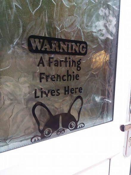 A Farting Frenchie Lives Here - Window Door Or Fridge Sticker - Choice Of Colour