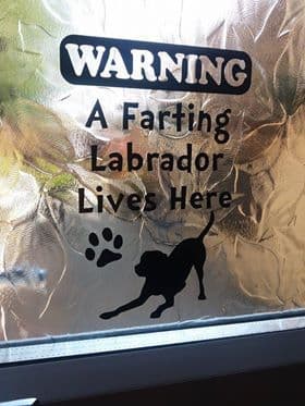 A Farting Labrador Lives Here - Window Door Or Fridge Sticker - Choice Of Colour