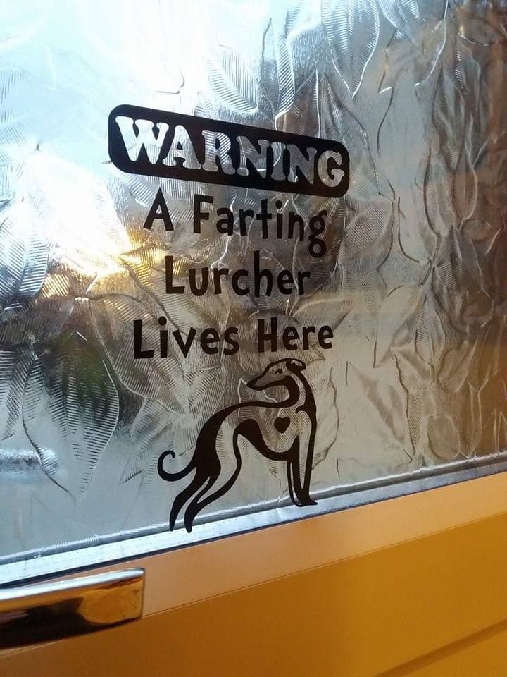 A Farting Lurcher Lives Here - Window Door Or Fridge Sticker - Choice Of Colour