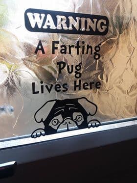 A Farting Pug Lives Here - Window Door Or Fridge Sticker - Choice Of Colour