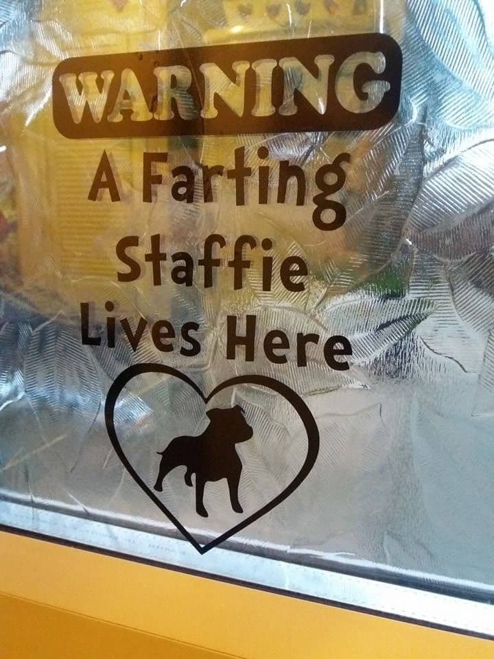 A Farting Staffie Lives Here - Window Door Or Fridge Sticker - Choice Of Colour