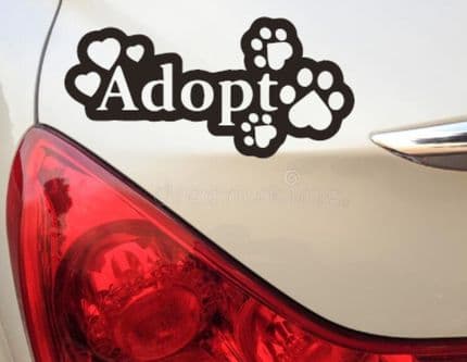 Adopt - Car Sticker - Choice Of Colour
