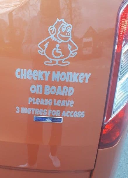 Cheeky Monkey On Board - Please Leave 3 Metres For Access