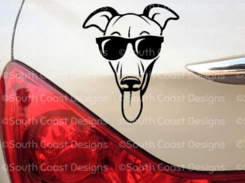 Cool Whippet/Lurcher in Sunglasses  - Front Facing