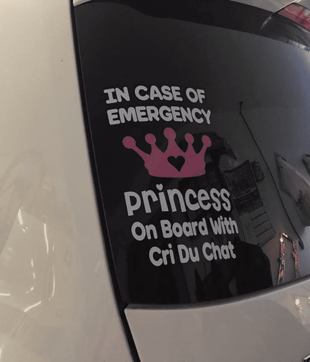 In Case Of Emergency - Princess On Board With Cri Du Chat -  Choice Of Colour For Crown & Writing
