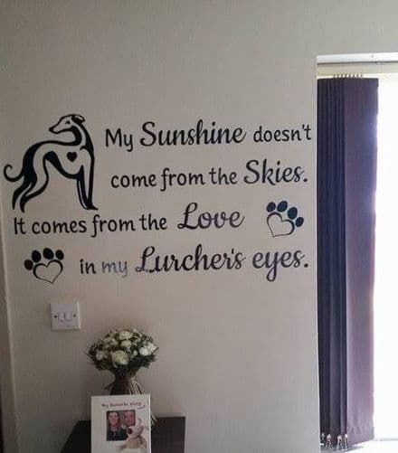 My Sunshine Doesn't Come From The Skies. It Comes From The Love In My Lurcher's  Eyes