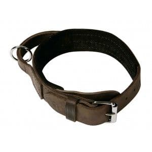 Leather Agitation Collar with Handle