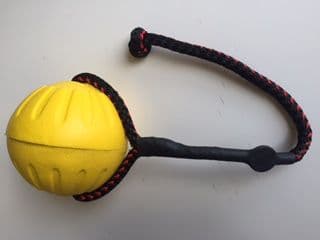 Starmark Durafoam Ball on Rope with Magnet