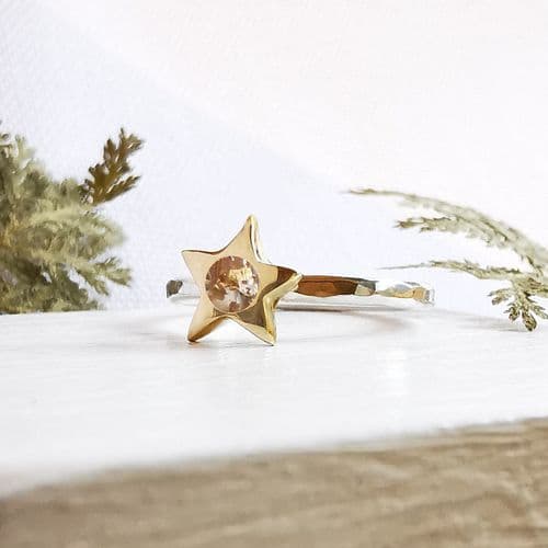 9ct Gold And Silver Star Memory Ring (With Ash And Gold Foil In Photo)